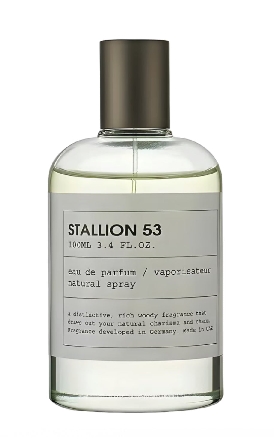 STALLION 53